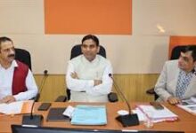 लंबित राजस्व मामलों का शीघ्र निपटारा करें सुनिश्चित: डीसी