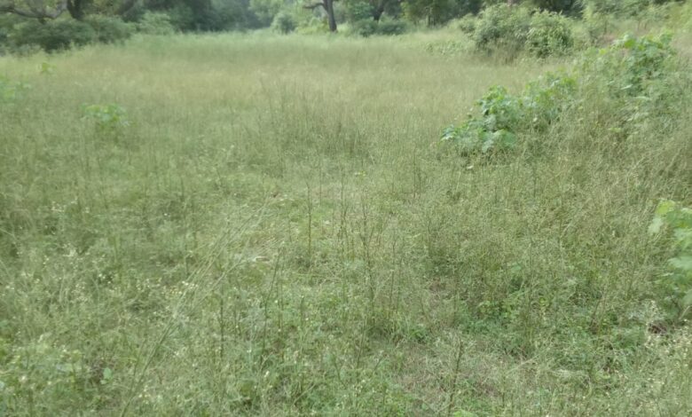 खेती योग्य भूमि बीजाई करना छोड़ने को मजबूर हो गए ग्रामीण किसान