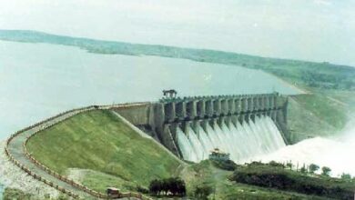 कांगड़ा जिले के महाराणा प्रताप पौंग झील में बड़ा जलस्तर