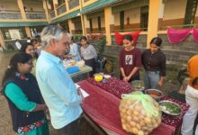 राजकीय महाविद्यालय नगरोटा सूरियाँ में किया गया दीवाली फेस्ट का आयोजन
